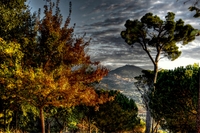 Tuscolo