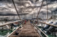 Harbor