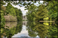 Johnstown-castle-view