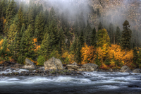Autumn-color