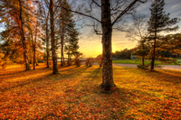 Autumn-colors