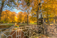 Autumn-in-the-park