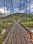 Suspension-bridge