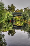 River-reflections
