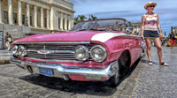 Pink-panther