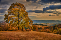 Autumn