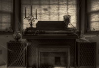 The-phantoms-organ