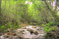 Batueca-river