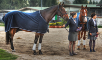Horses