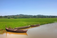 Boats