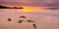 Evening-light-