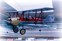 Airplane-in-airport-terminal-
