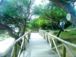A-la-playa