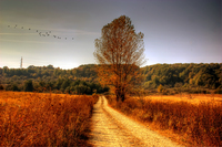 Fall-time