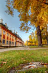 Autumn-in-the-park-behind-the-castle-dresden-pillnitz