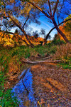 Fall-colors