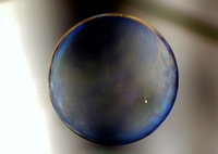 Bolla-di-sapone