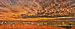 Flowing-sunset