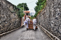 Madeira-tobaggan-ride