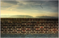 Wall