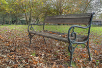 Bench