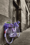 Bicycle-color-and-b-w-