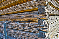Dovetail-timbers-1