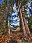 Little-house-in-the-big-woods