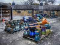 Plant-pot-selection
