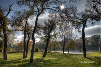 Fall-in-coppell-texas