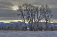 Autumn-scene-jackson-wy