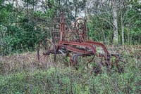 Abandoned-but-not-forgotten