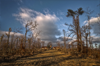 After-the-storm