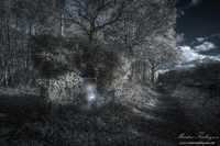 Pillbox-reclamation