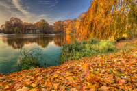 Lake-carola