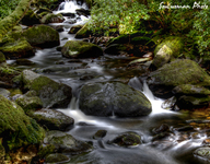 Killarney-national-park
