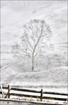 Mtn-snow-scene