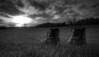 Shoes-without-owner