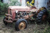 Old-ford-tractor