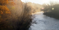 -misty-morning-hop-