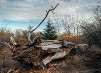 Shallow-ravine-