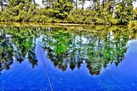 Fishing-day