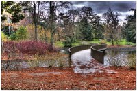 Curved-bridge
