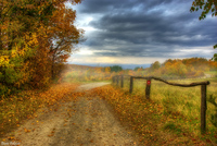 Country-road