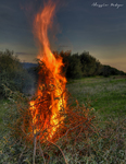 Evening-fire