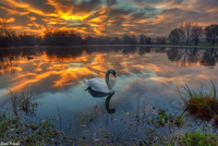 Colorful-dawn