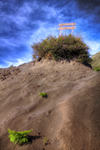 A-sign-on-the-desert