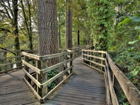 Walk-way-