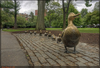 Make-way-for-ducklings