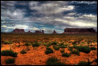 American-desert-